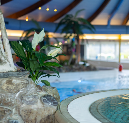 Zwembad de Blauwe Golf Leeuwarden overzicht close-up